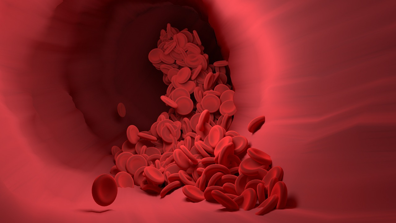 Red blood cells moving through veins